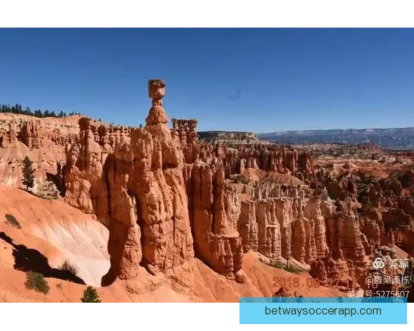 美加墨世界杯举办城市精彩纷呈全景解析与旅游攻略指南